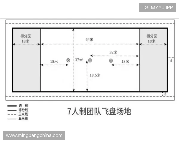 南京飞盘队与武汉飞盘队的精彩对决赛后分析与战术探讨