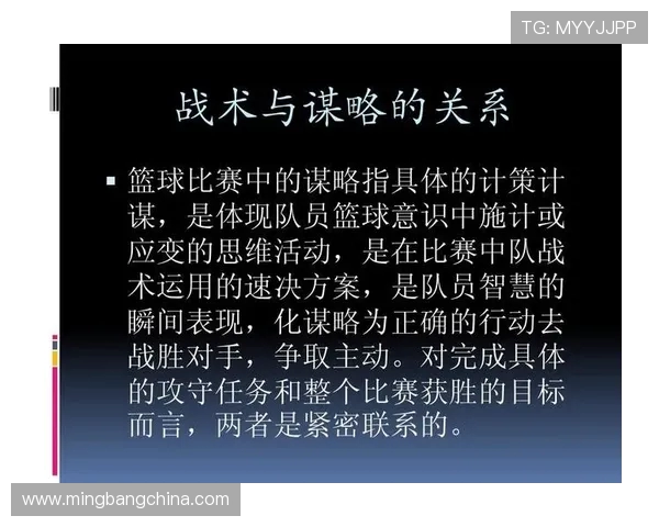 成都篮球队灵活性分析与战术适应性研究探讨