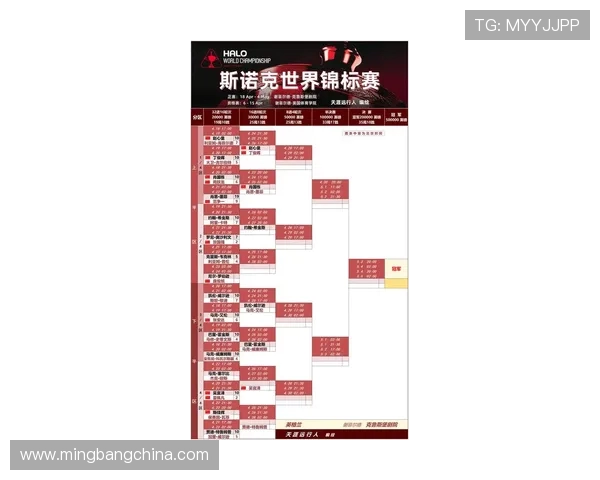 杭州羽毛球队在世锦赛中的战术分析与表现评估